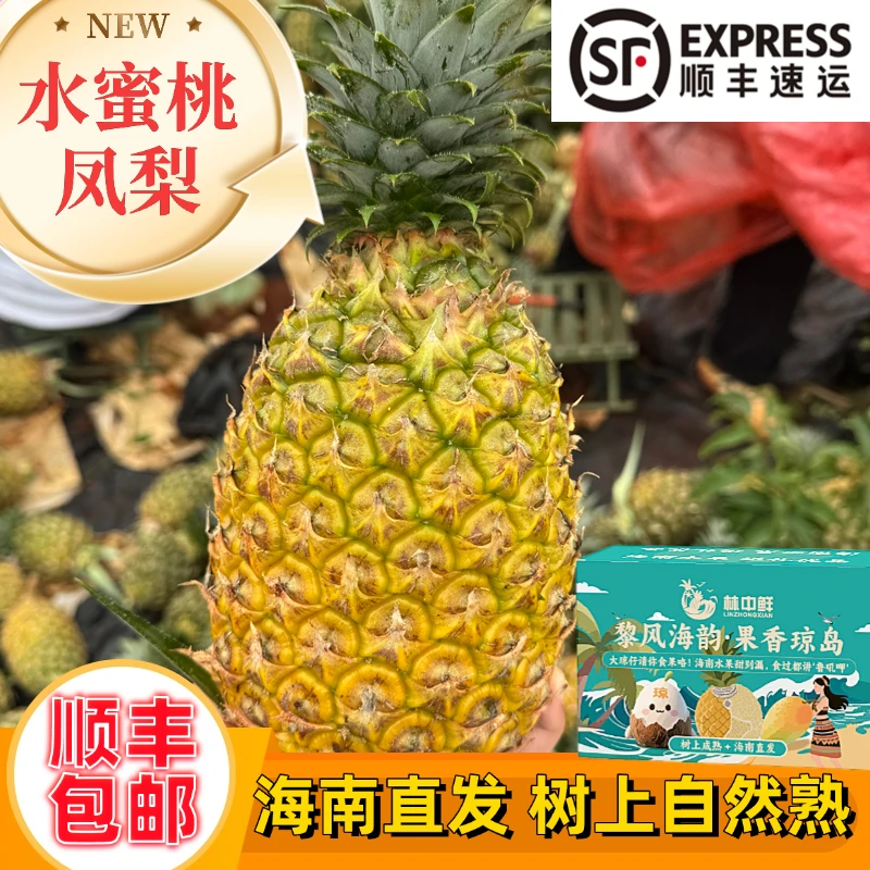 【顺丰礼盒】海南水蜜桃凤梨5斤金钻芒果凤梨菠萝新鲜水果孕妇应季