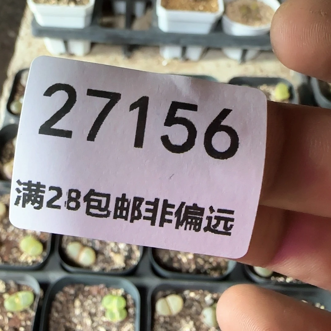 雪*胖脱土28包邮27156