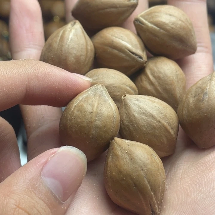 手串/手链橄榄核1.9