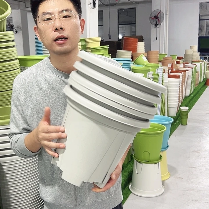 正品青山口32高28灰白色5只无托