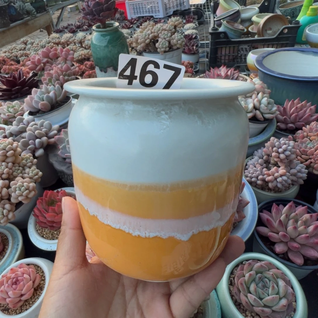 特价花盆只随单或满50发货内口8