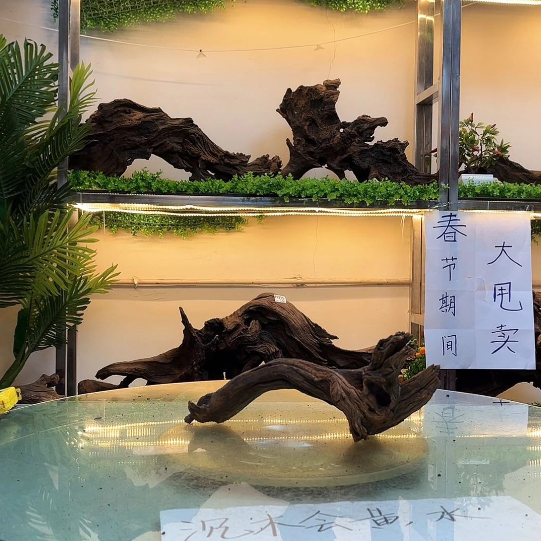 柚木一*树沉木鱼缸造景