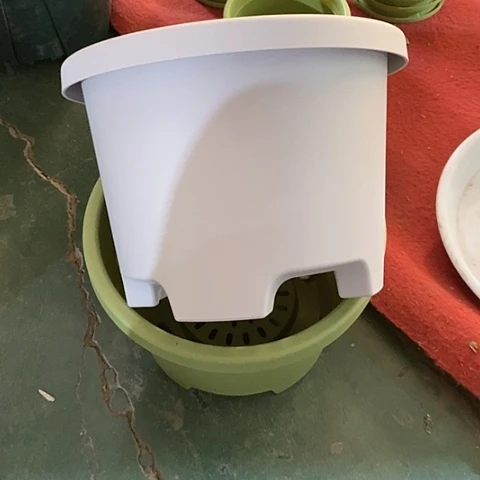 树脂球根26口径5个无托灰白