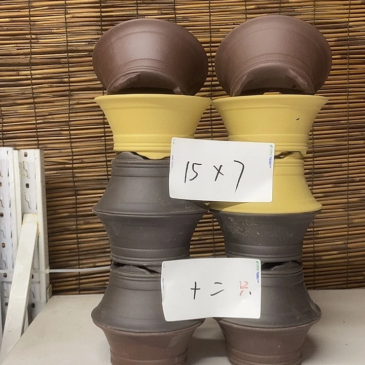 花盆紫砂我在外面
