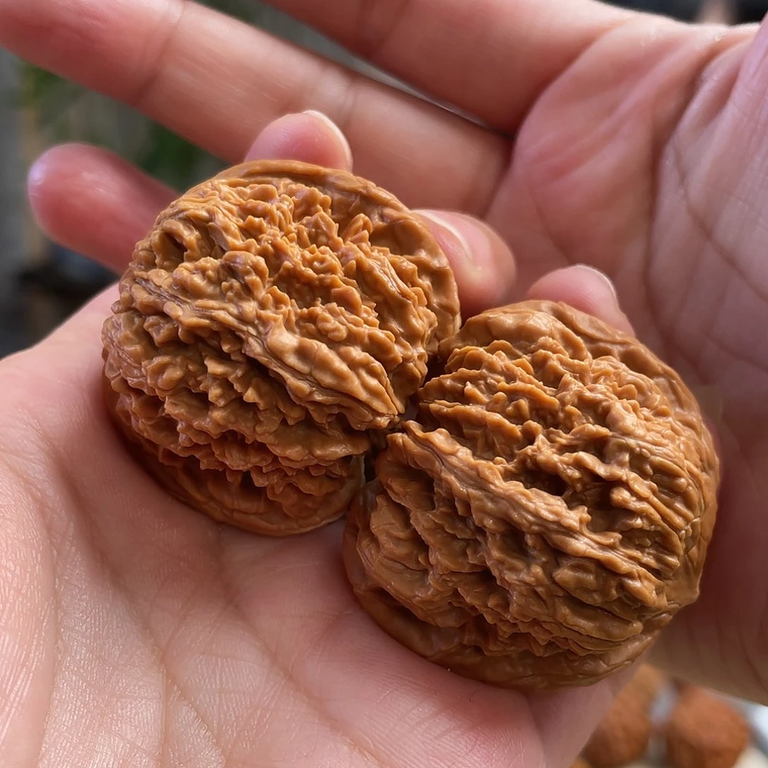 桃核把件42尺全品137狮子头CN0629已打底