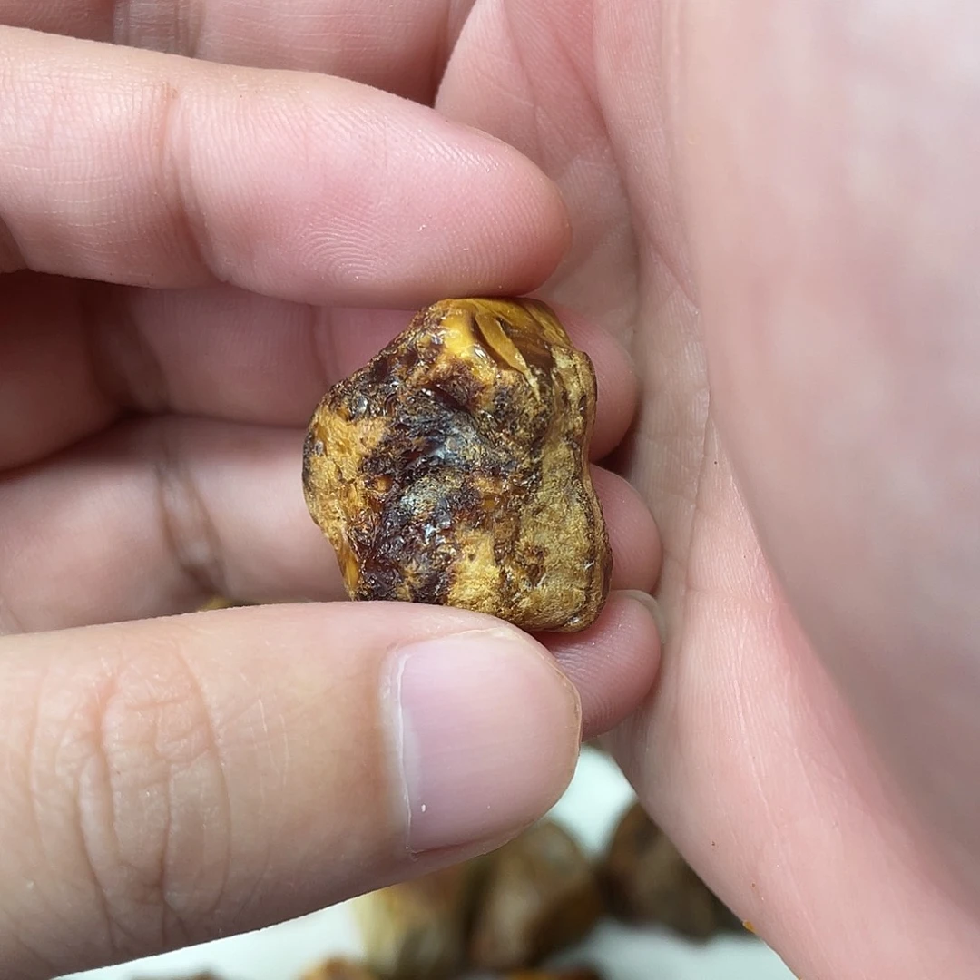 定制琥珀未镶嵌熊*原矿琥珀