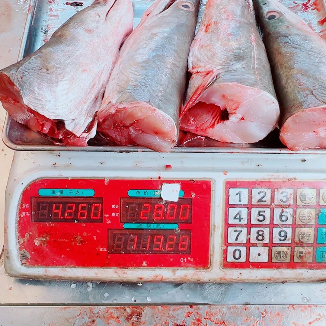 中国大陆四个鳗鱼头