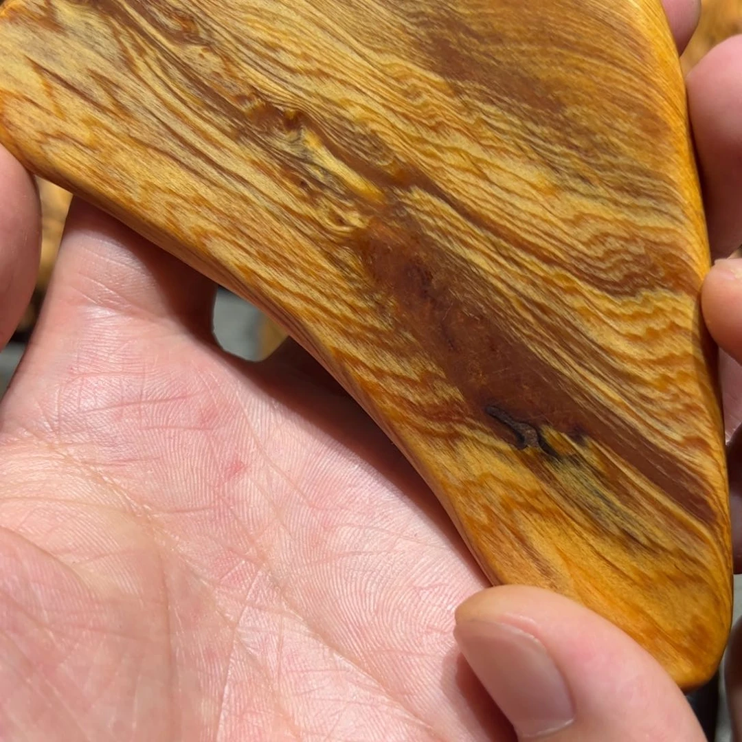 柏木（崖柏）北太行陈化崖柏