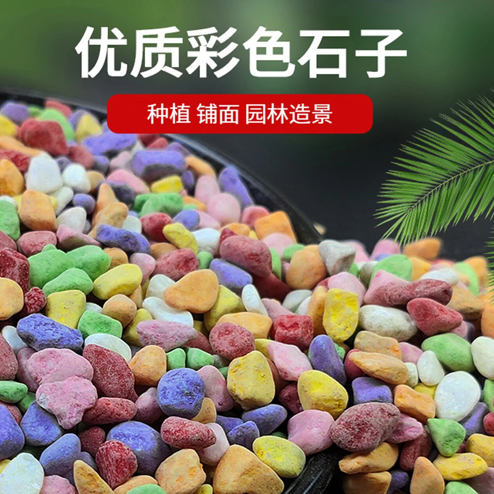 五彩石白色家庭天然彩色石子多肉铺面石园艺造景专用养花水培石头