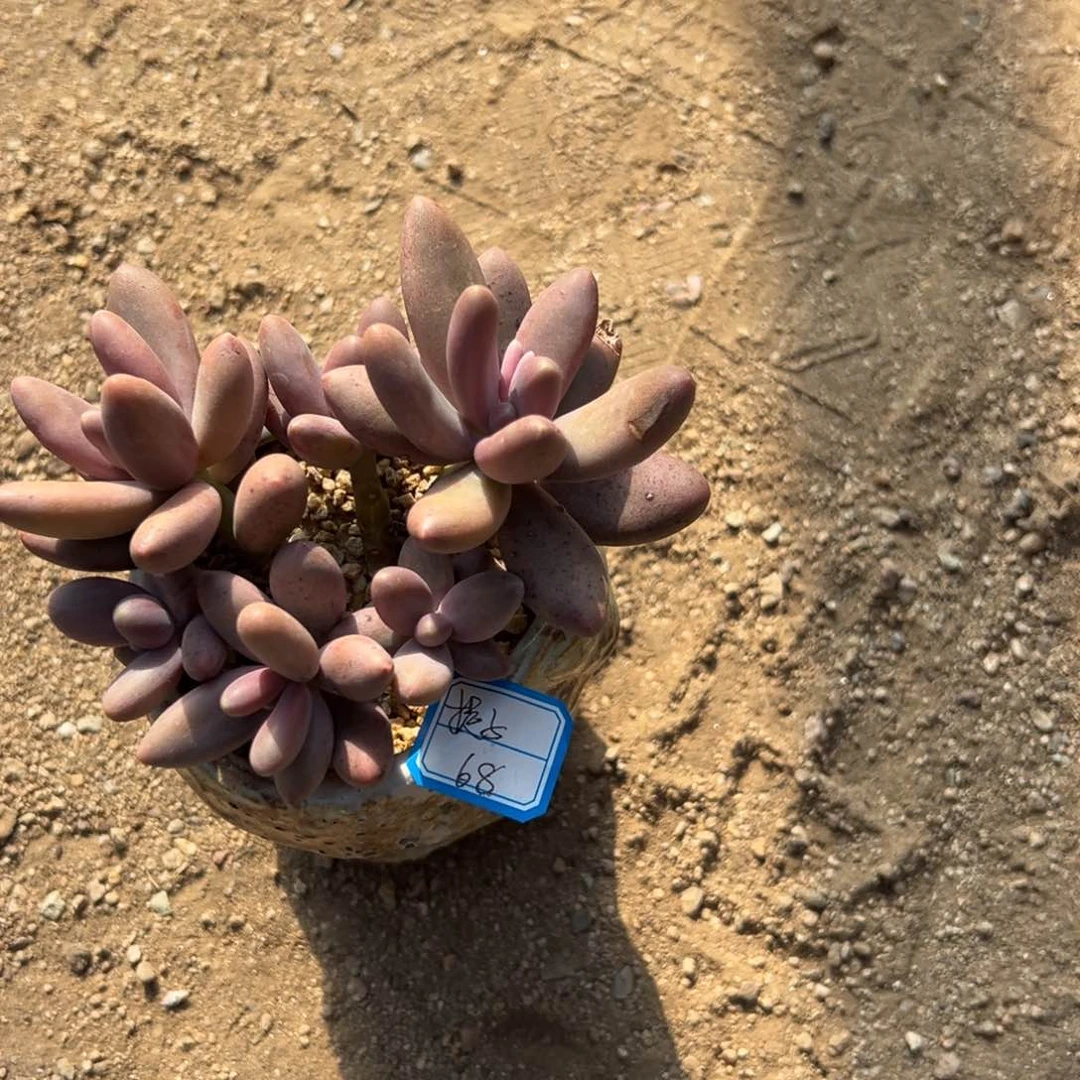 提*1111111111111111111