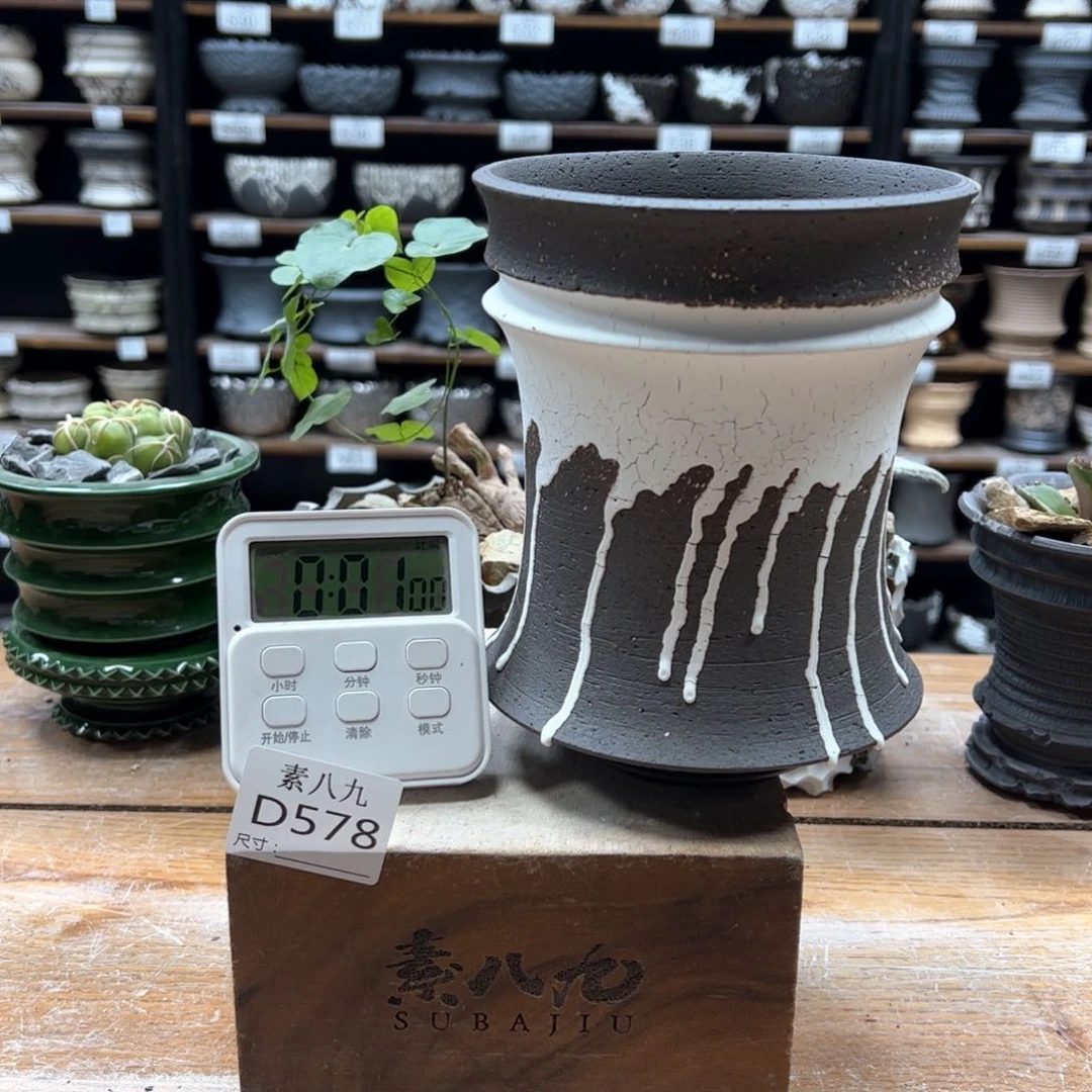 素八九陶瓷内口12高16.5w****杭