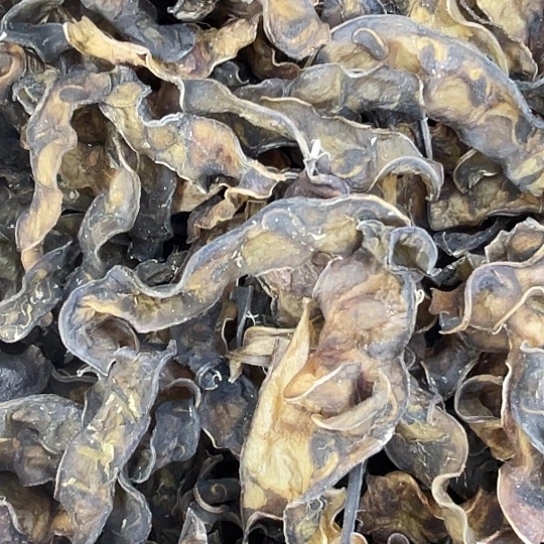 中国大陆干迷豆一斤赶集