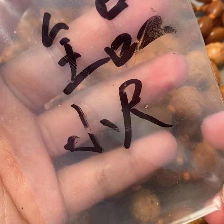 橄榄核手串/手链橄榄全品随机发