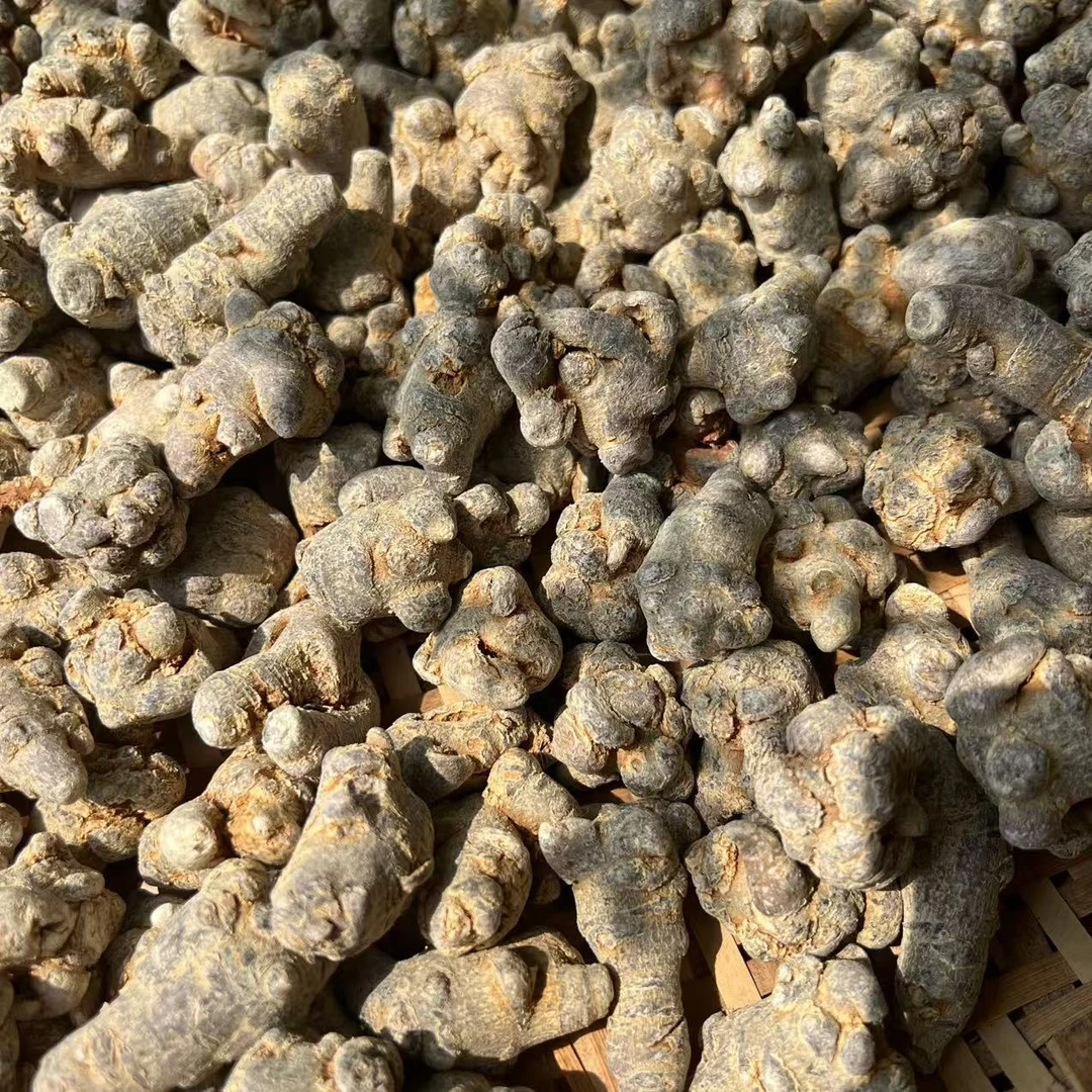 云南文山三七 田七春三七