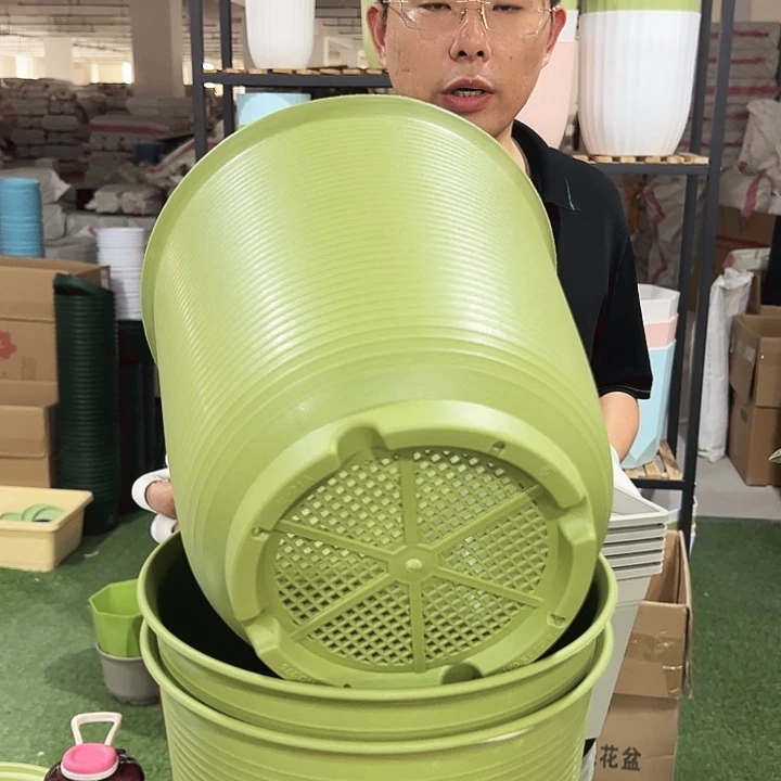 高陶21口27高27果绿无托3只