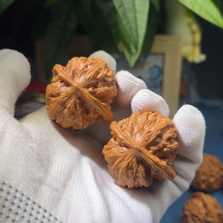 文玩核桃吊坠野狼