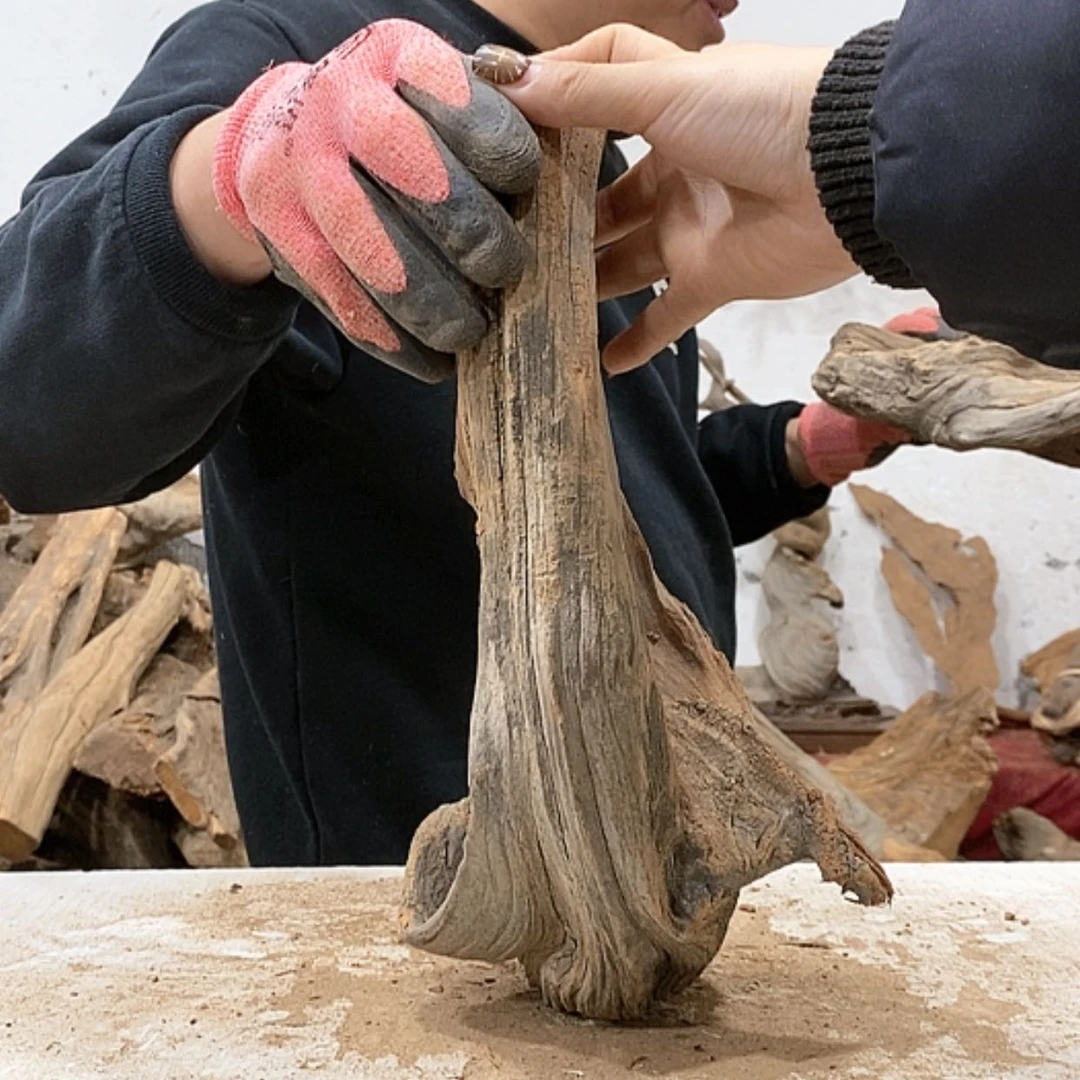 【闪购商品】柏木柏**材我们都是好孩子