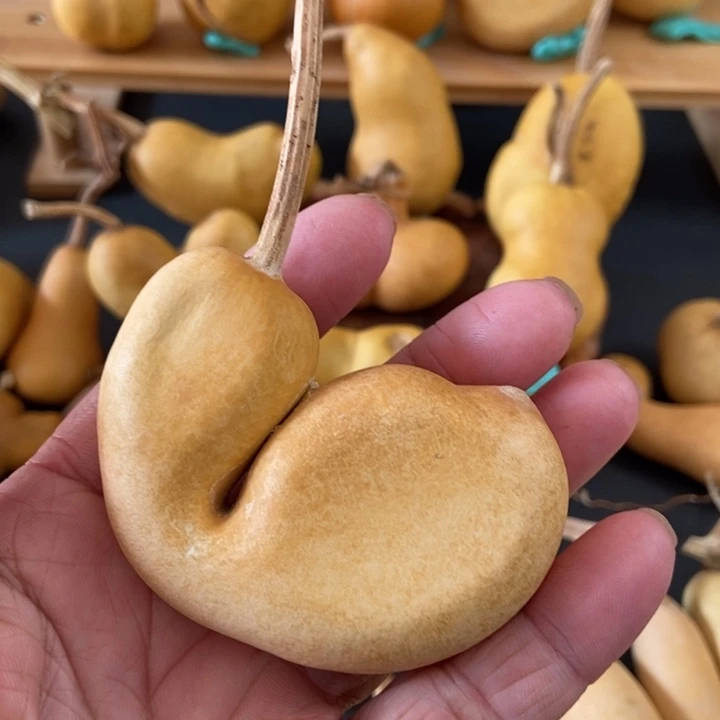 S****txcdjdosihxhdjwjxhdd