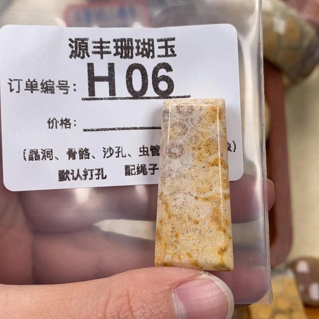硅化玉颈饰未镶嵌进*中