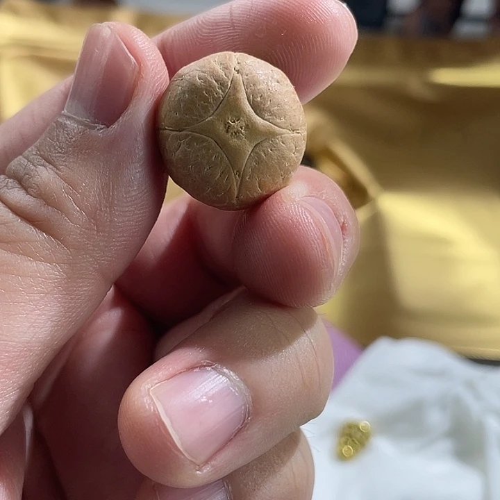 手串凤眼菩提尼泊尔小凤眼