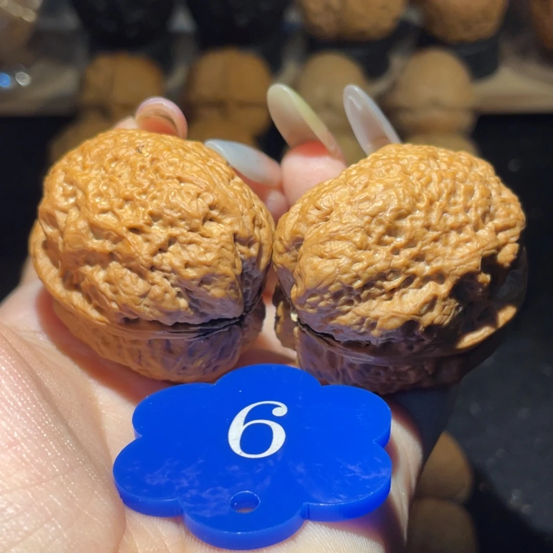 暴龙蟾39尺寸核桃