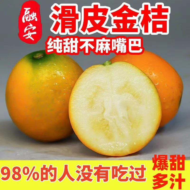 【爆甜】广西融安滑皮金桔新鲜桔子应季现摘水果蜜金柑桔纯甜