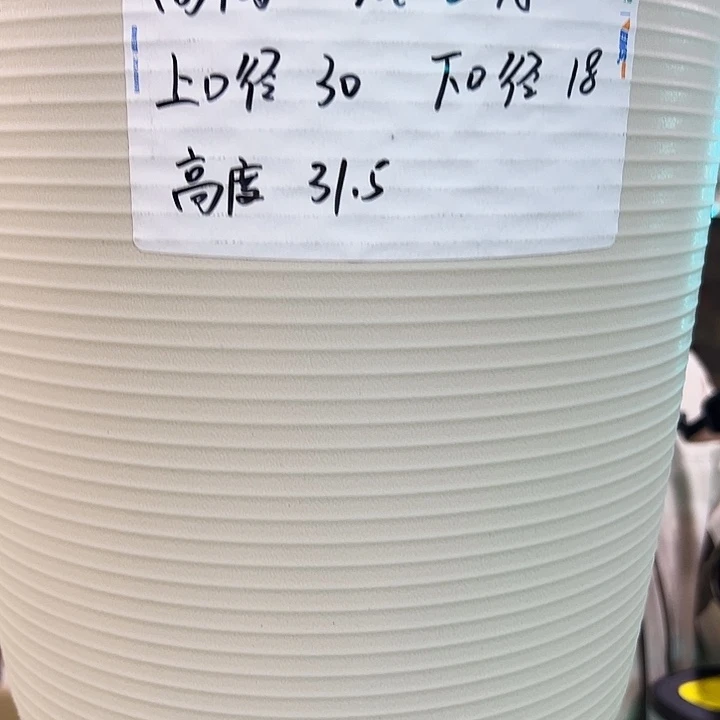 正品高陶口30高31白色3个无托