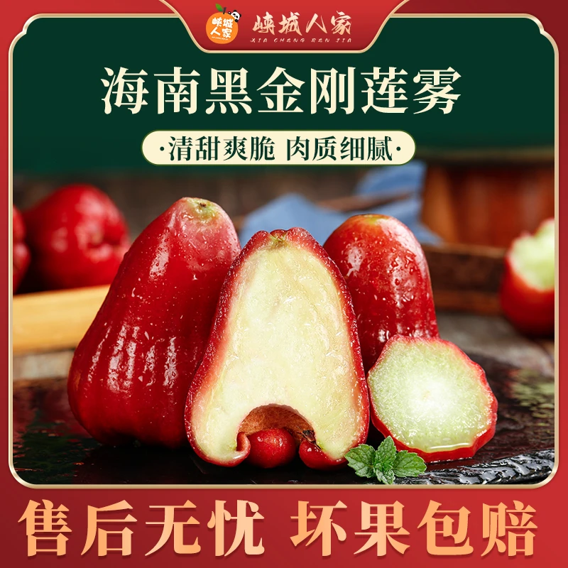 【峡城人家】海南黑金刚莲雾果2/3/4斤清脆爽口多汁新鲜采摘