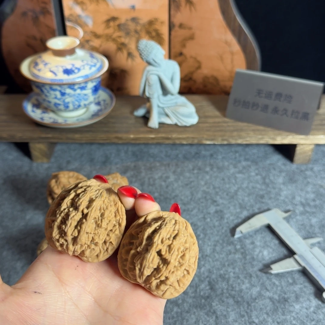 全品4344大虎头白茬克重48