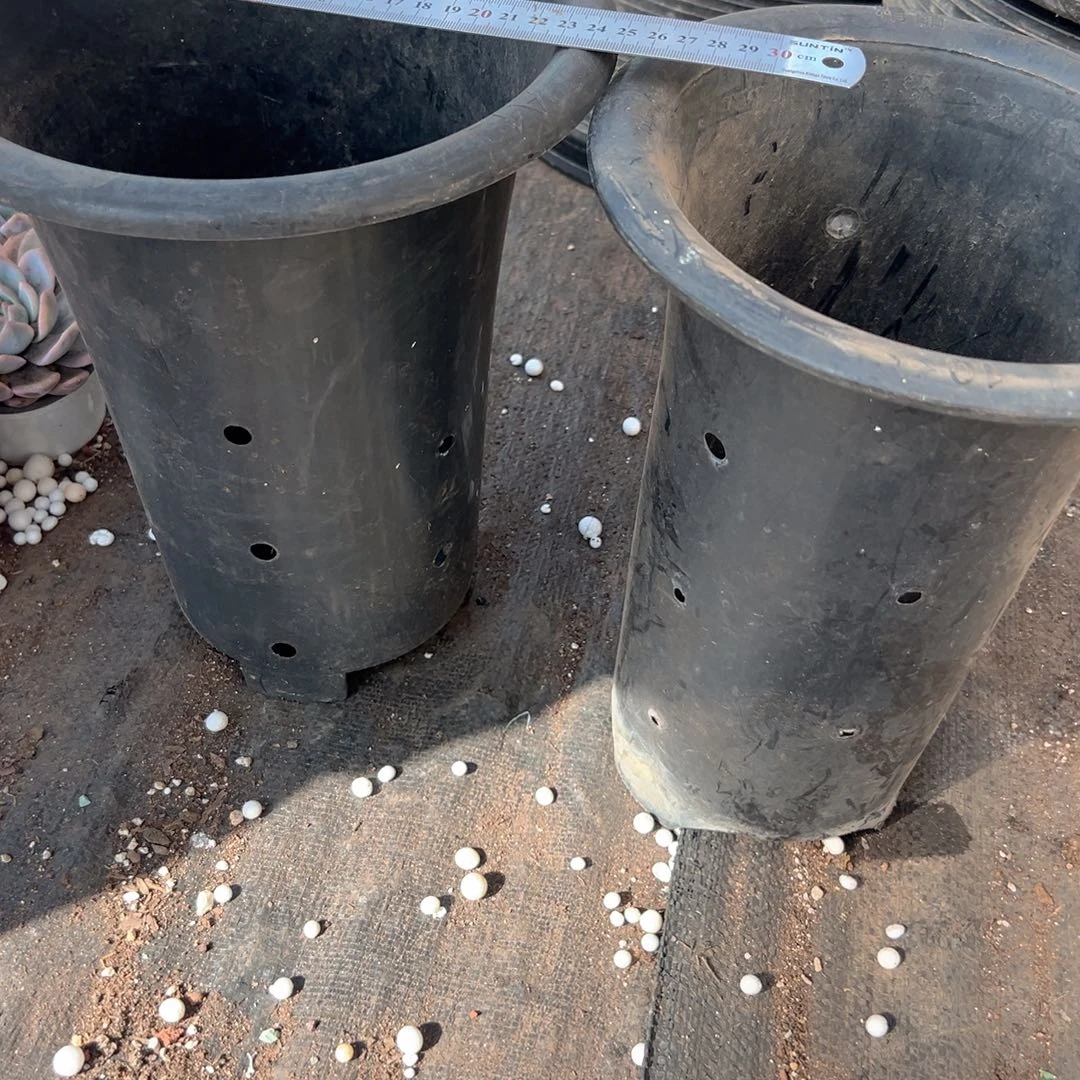 兰花盆23-25口径 2个