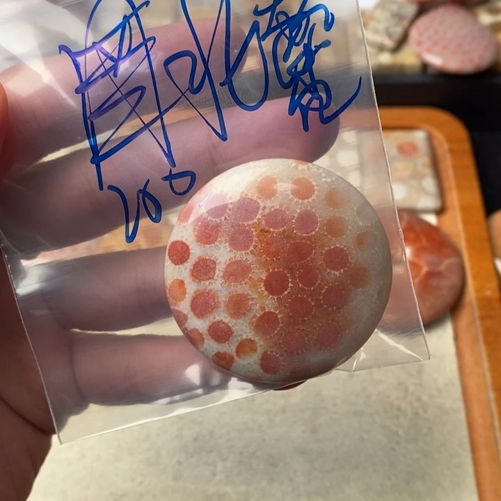 硅化玉颈饰未镶嵌北*