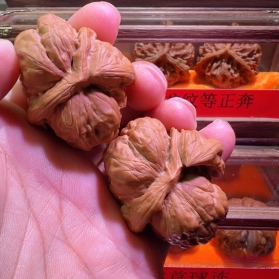 蛤蟆头粗犀牛土豪级43和39+高30