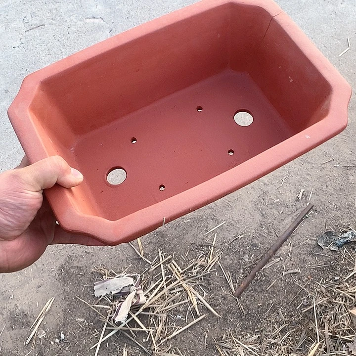 紫砂没有那么好吃我的人生也