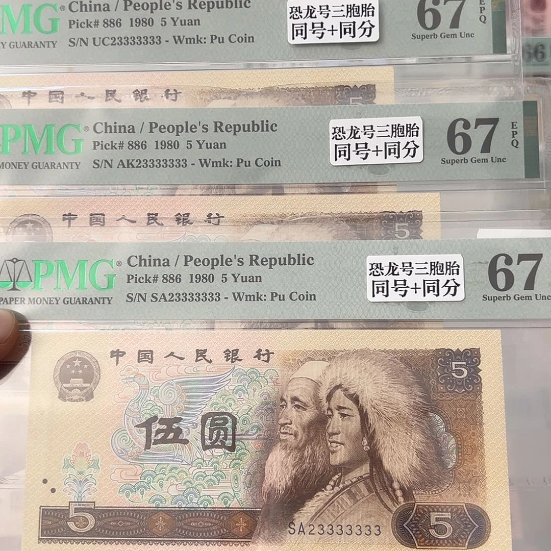 805恐龙一挂七三胞胎23333333