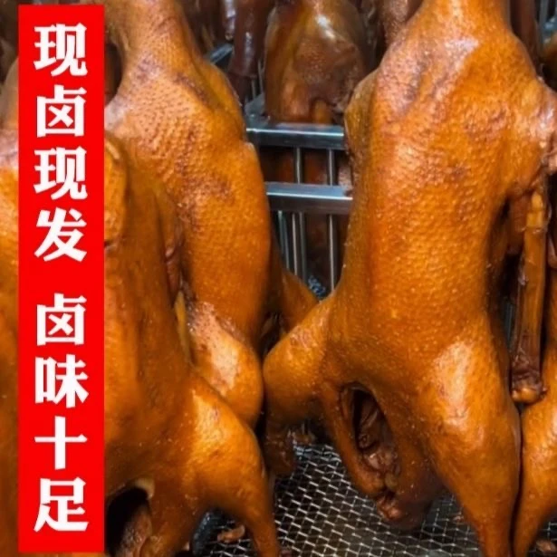卤向天歌卤鹅顺丰包邮的荣昌卤鹅整只不切美味即食卤味