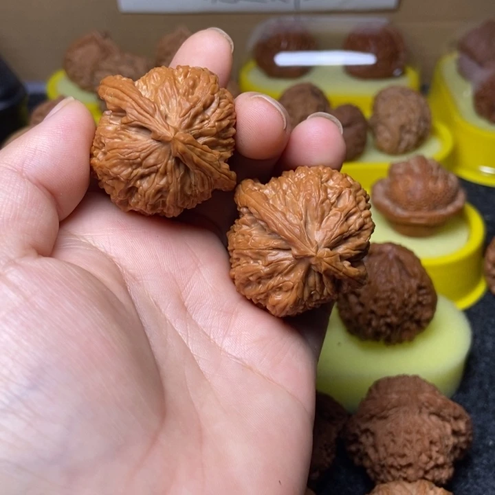 文玩核桃把件打底的白狮子