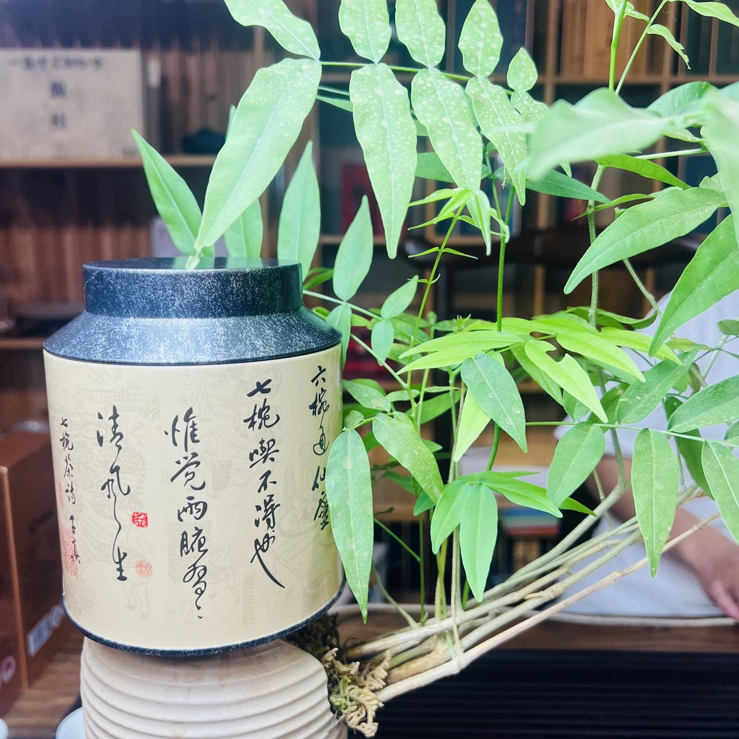 【正山小种】武夷红茶品鉴小罐10泡--颐業知春茶叶