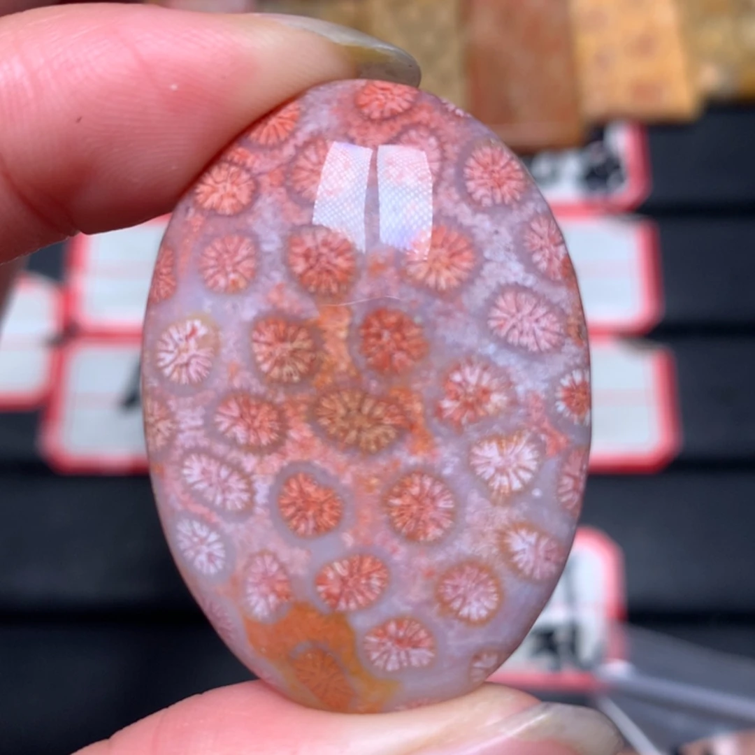 【闪购商品】硅化玉颈饰未镶嵌落**晖