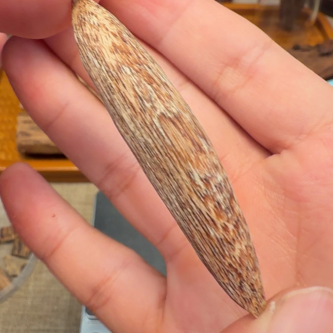 沉香广东鳌头瓜子
