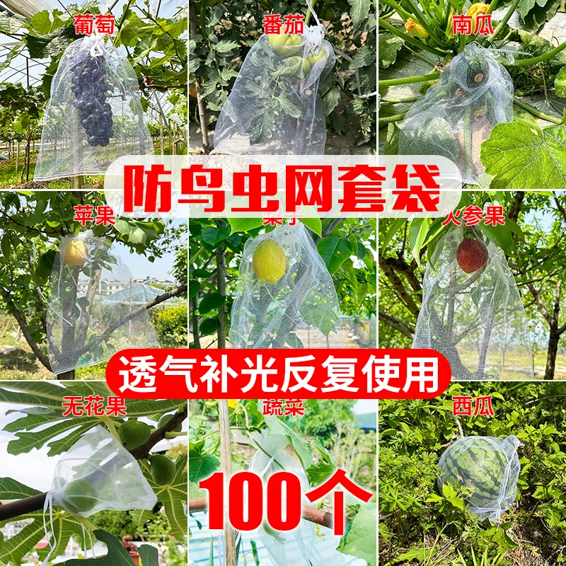 水果套袋防鸟防虫专用纱布袋子菠萝哈密瓜草莓西瓜果树保护袋