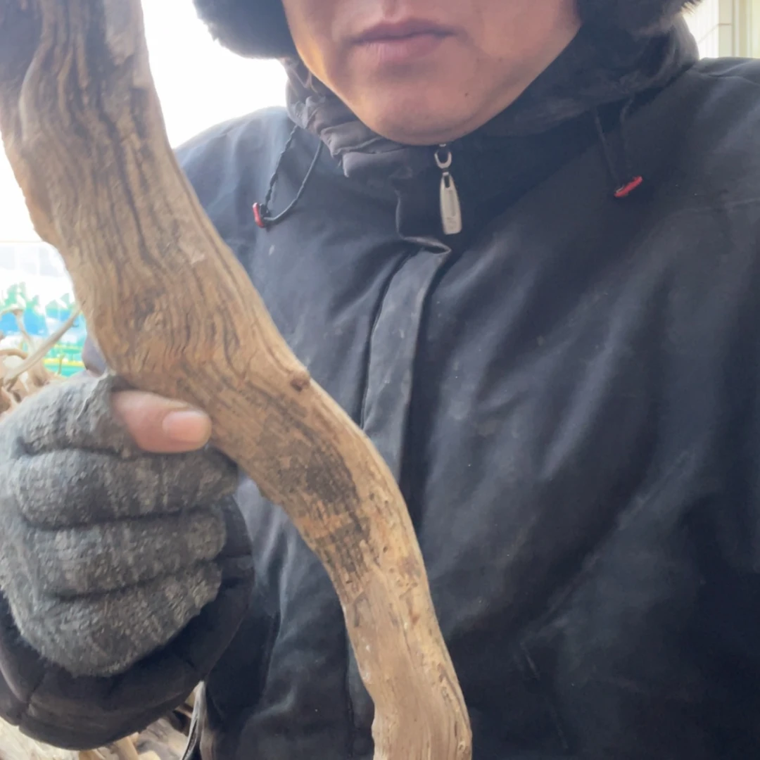 【闪购商品】柏木哈*妮啊啊啊啊啊啊啊