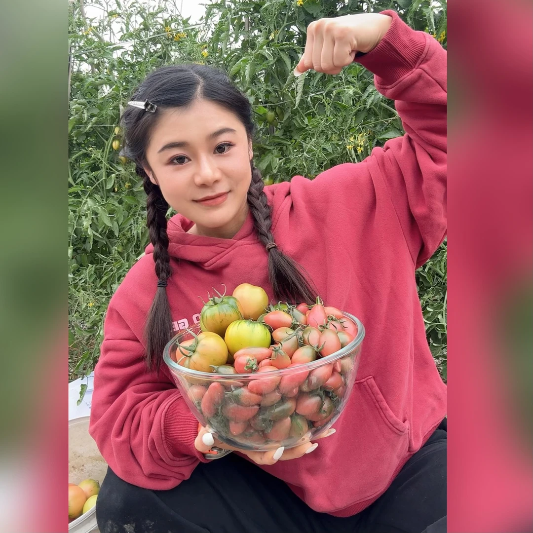 锅哥番茄第四季｜露天盐碱地种植｜嘎嘣脆酸甜爆汁无农残19-22大卡