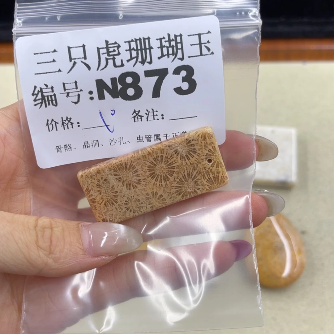 硅化珊瑚（珊瑚玉）t足银镀金镶嵌用****8
