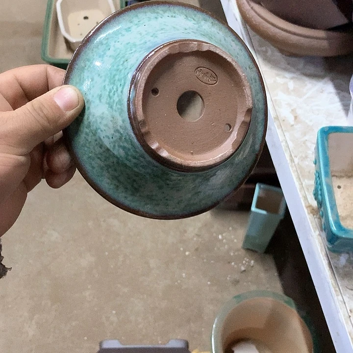 紫砂哈哈真的是太给力太火爆了