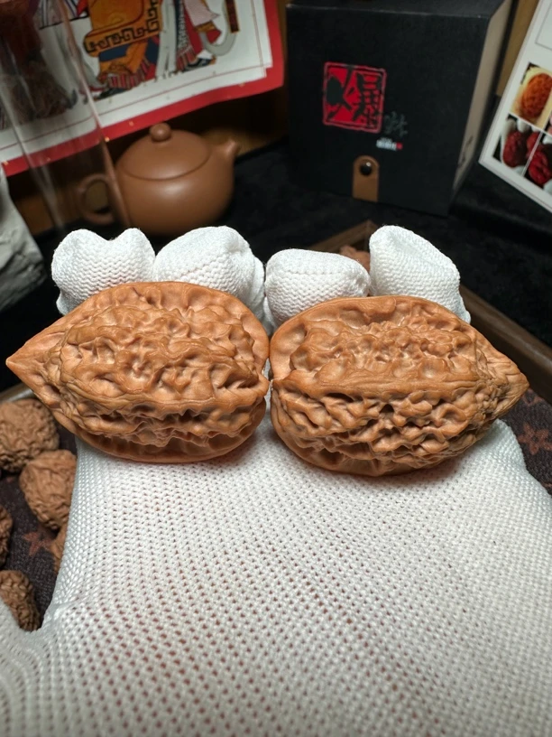 头货全品一代核桃沈鸡(沈阳鸡心)