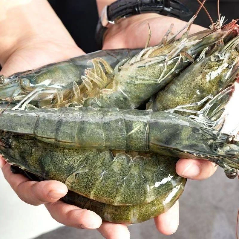 【30-40大虾】肉质鲜嫩大个头海水大虾单只15cm左右 一盒4斤含薄碎冰锁鲜 共50~60只海虾10/30【娜娜】