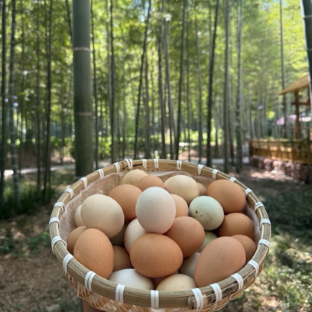 农家散养正宗土鸡蛋新鲜健康山林纯五谷喂养