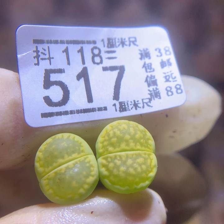 慢***车精品生花118.517
