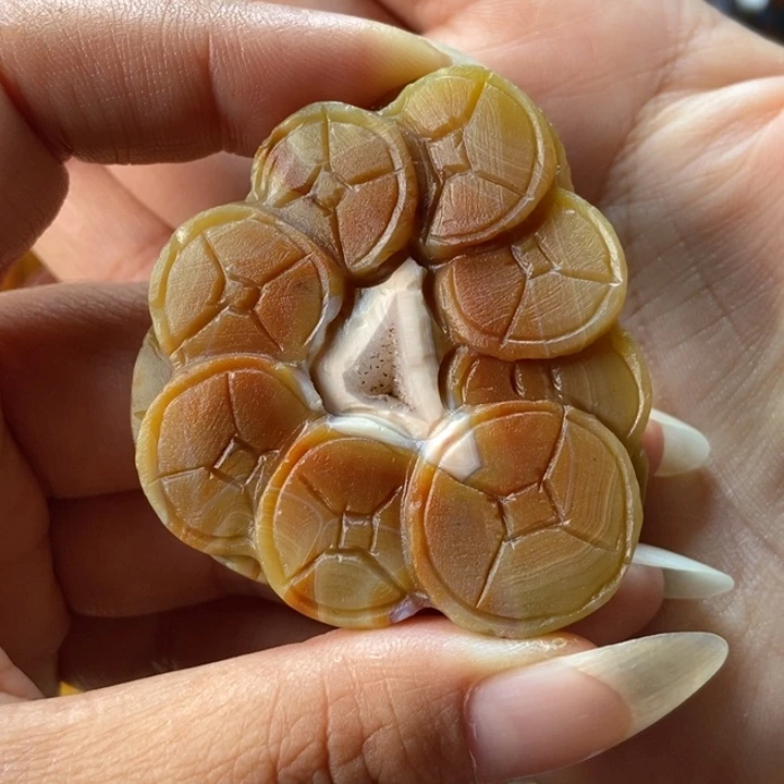 未镶嵌颈饰玛瑙/玉髓战国红