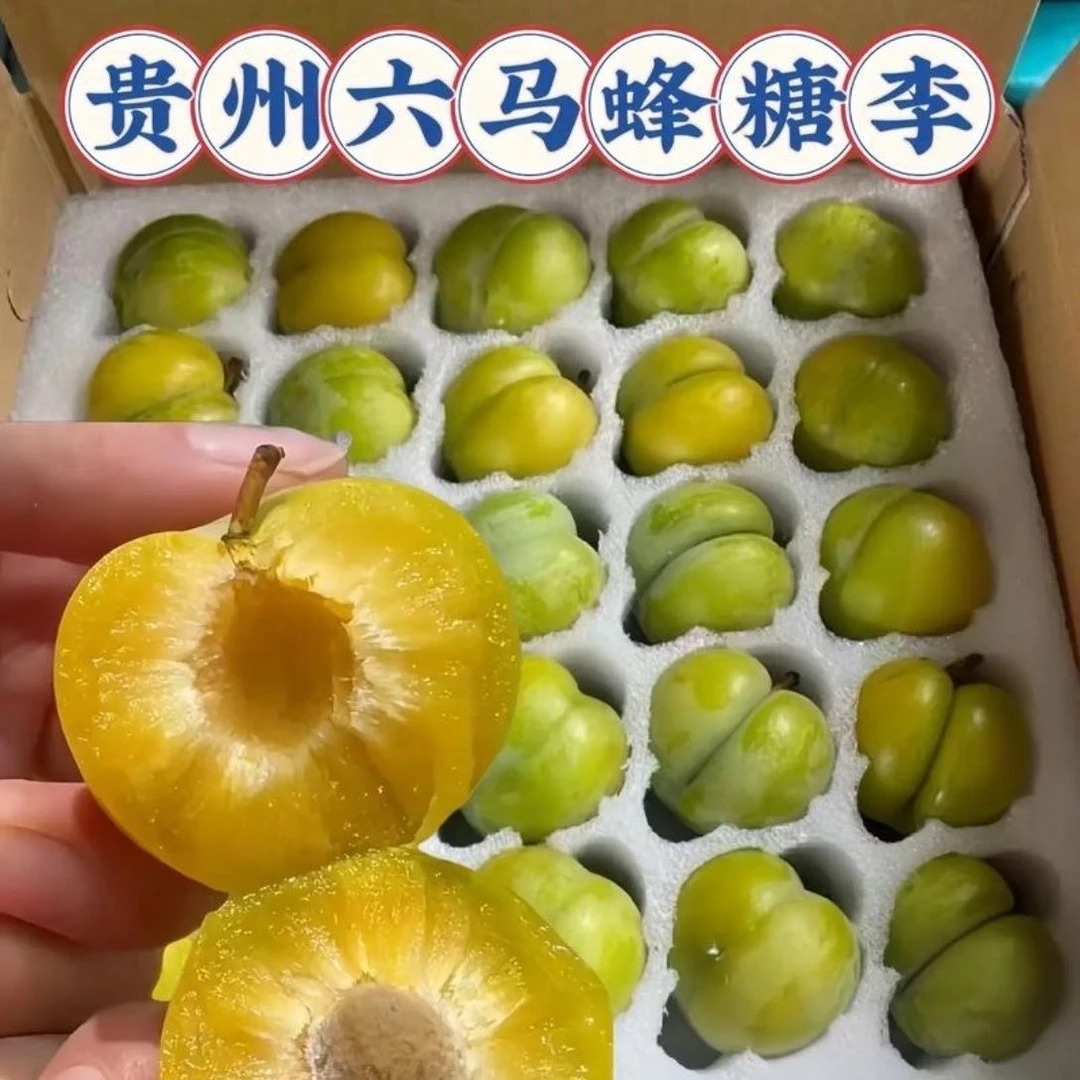 （顺丰空运）贵州六马蜂糖李当季新鲜水果皮薄肉厚脆甜爆甜多汁果园